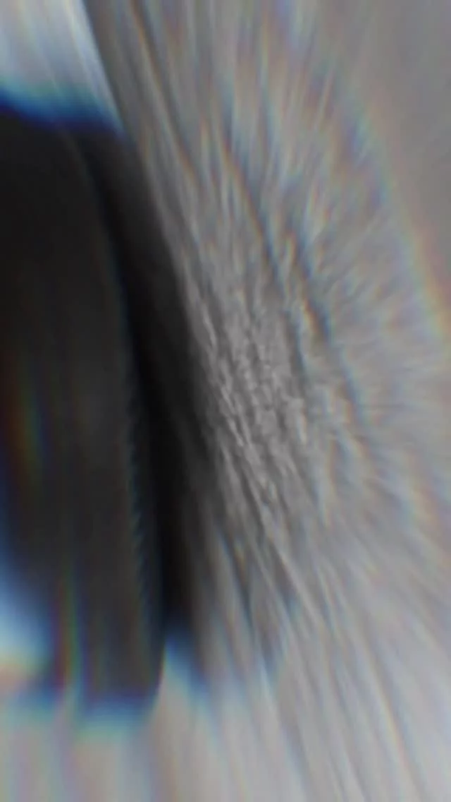 🖤Freedom. Confidence. Comfort. Perfection. All in one step 🖤 #swaydshoes #danceshoes #dancelife #dancecommunity #dancelove